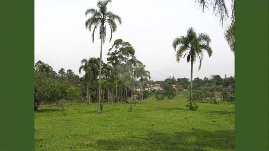 Foto REO1180840