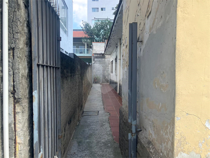 Foto REO1180866