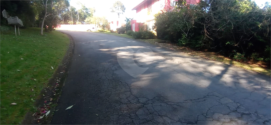 Foto REO1180982