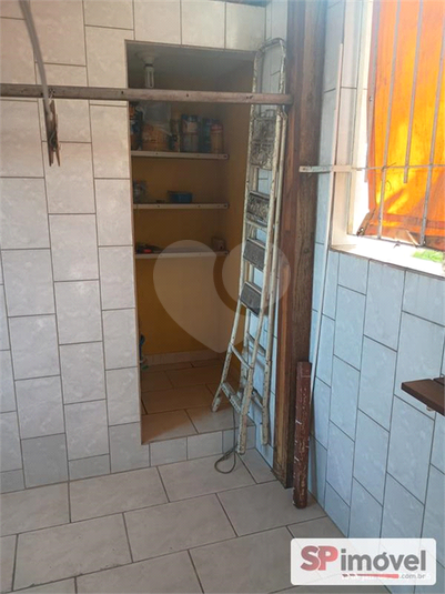 Foto REO1181063