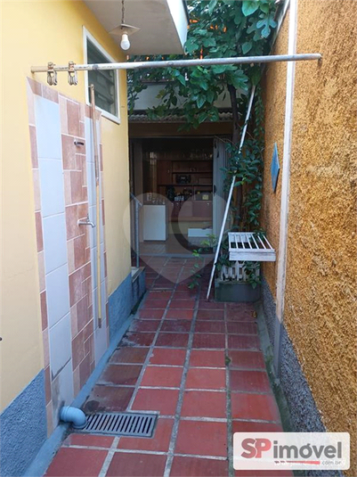 Foto REO1181063