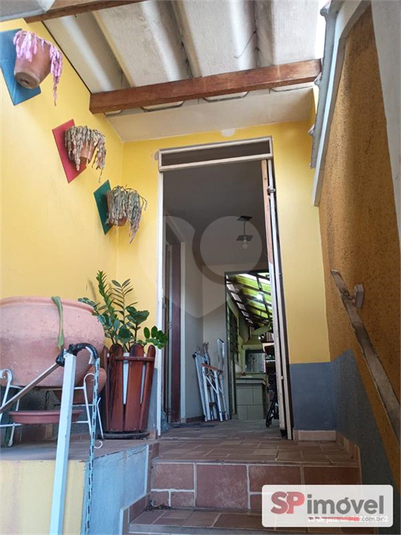 Foto REO1181063