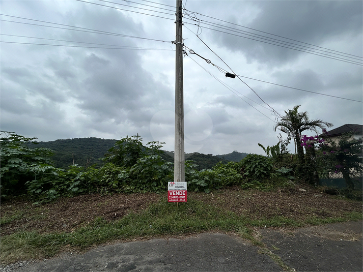 Foto REO1181223
