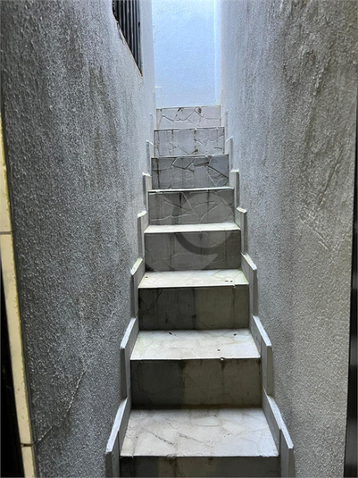 Foto REO1181237