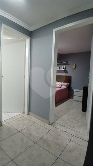 Foto REO1181268