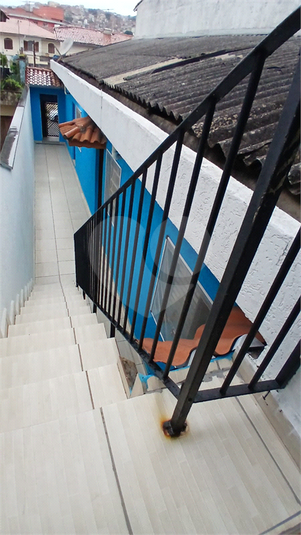 Foto REO1181268