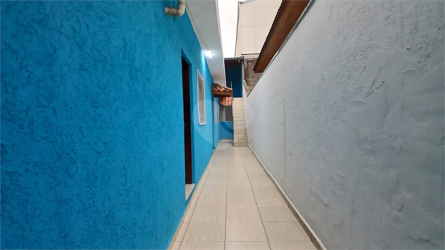 Foto REO1181268
