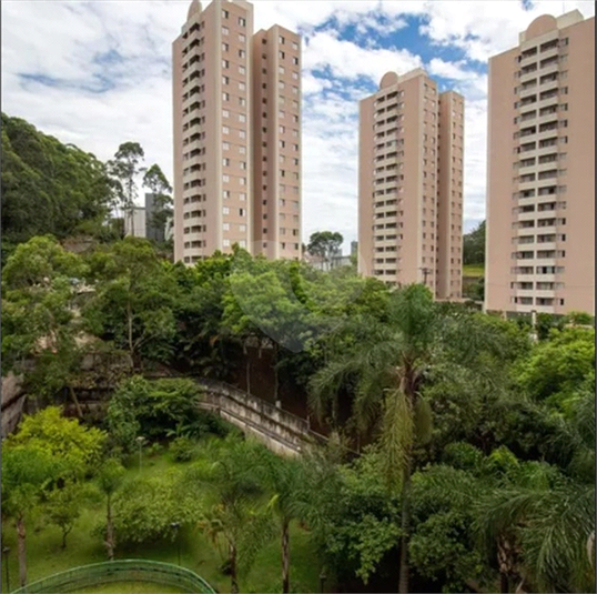 Foto REO1181351