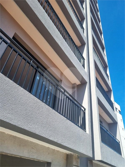 Foto REO1181376