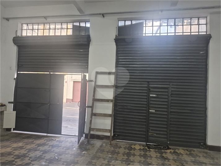 Foto REO1181486