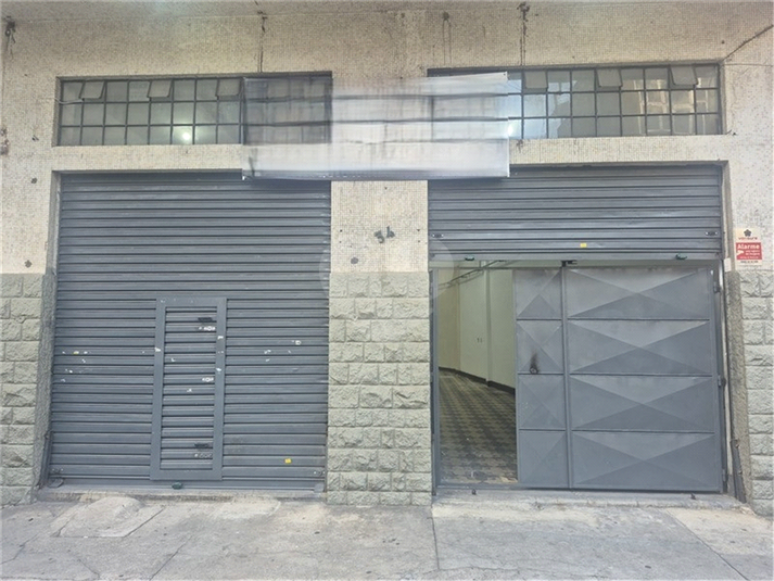 Foto REO1181486