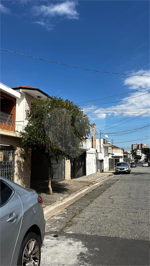 Foto REO1181504