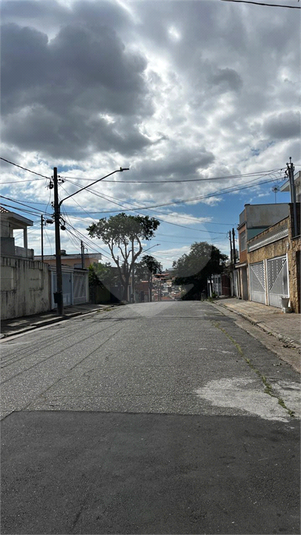 Foto REO1181504