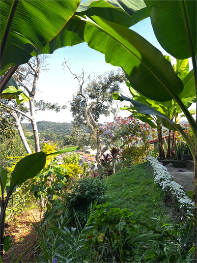 Foto REO1181537