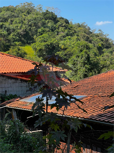 Foto REO1181537