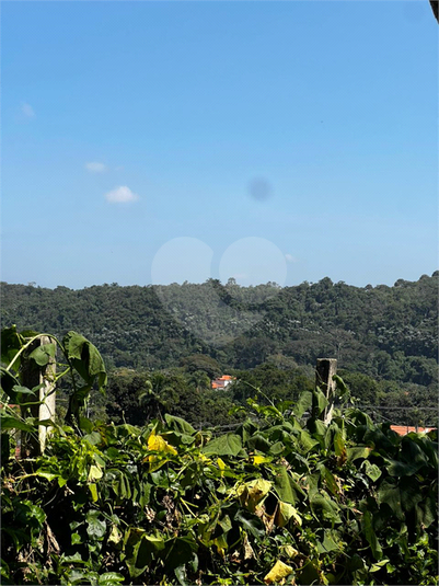 Foto REO1181537