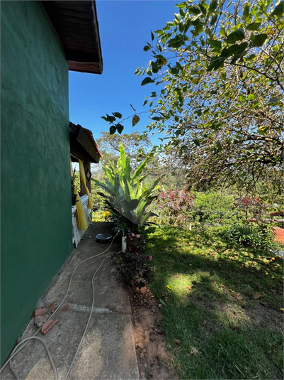 Foto REO1181537