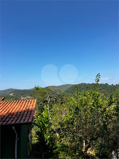 Foto REO1181537