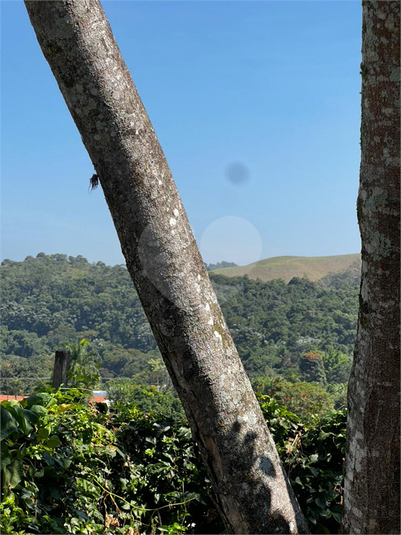 Foto REO1181537