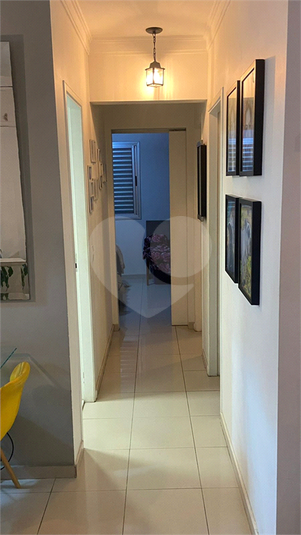 Foto REO1181544