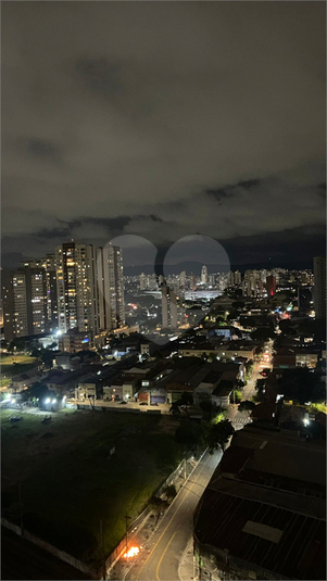 Foto REO1181544