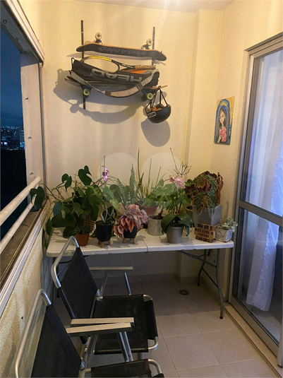 Foto REO1181544