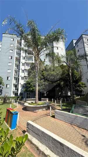Foto REO1181572