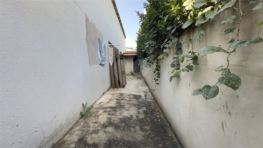 Foto REO1181575