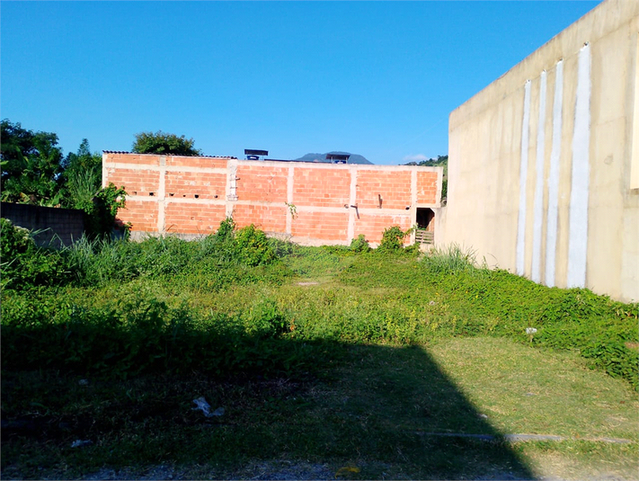 Foto REO1181581