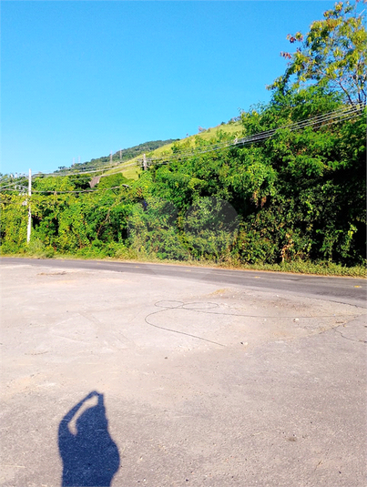 Foto REO1181581