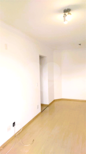 Foto REO1181587