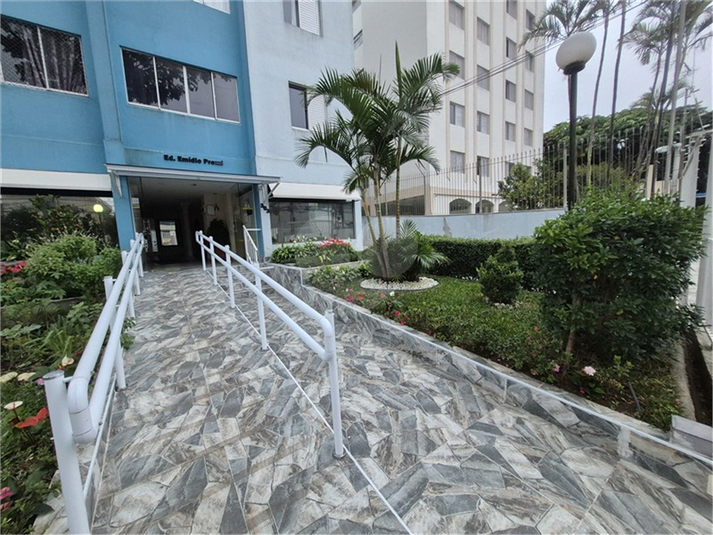 Foto REO1181589