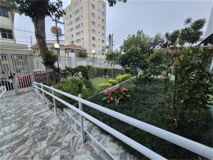 Foto REO1181589