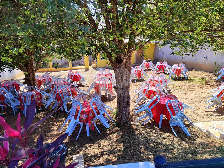 Foto REO1181601