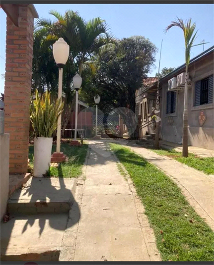 Foto REO1181601