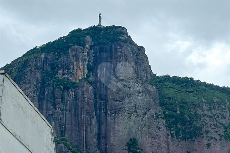 Foto REO1181631