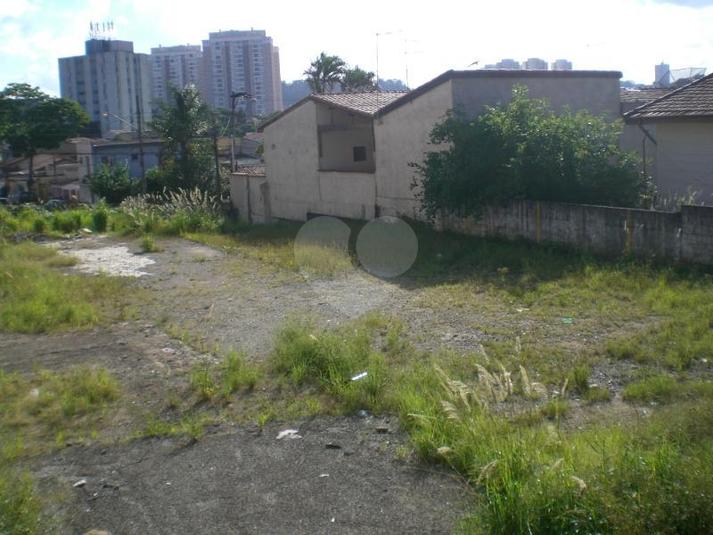 Foto REO118164