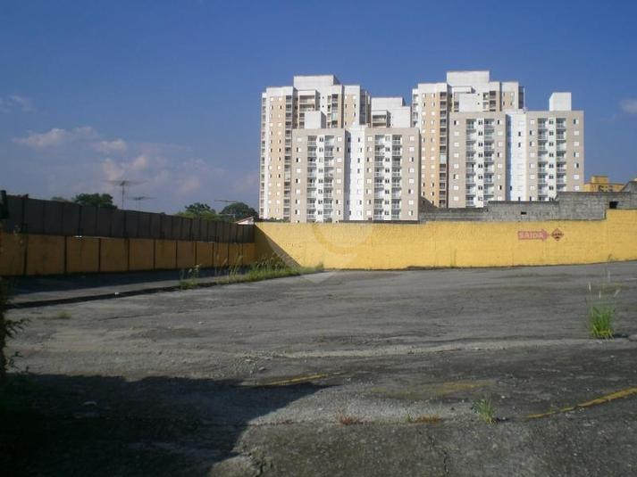 Foto REO118164