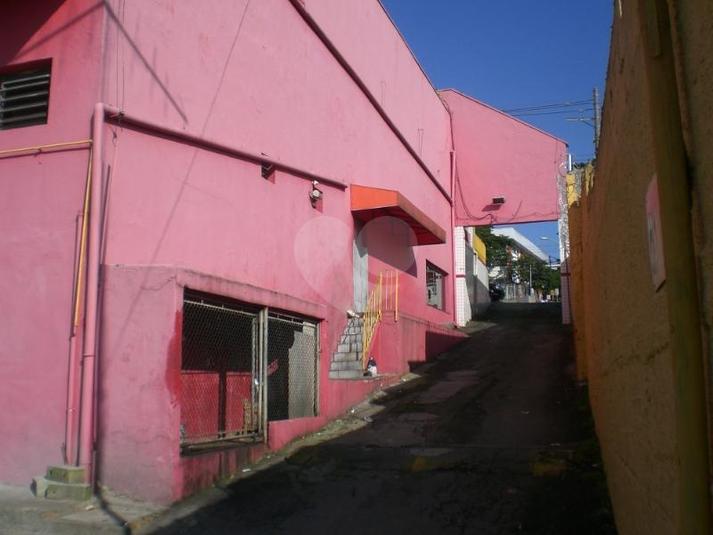 Foto REO118164
