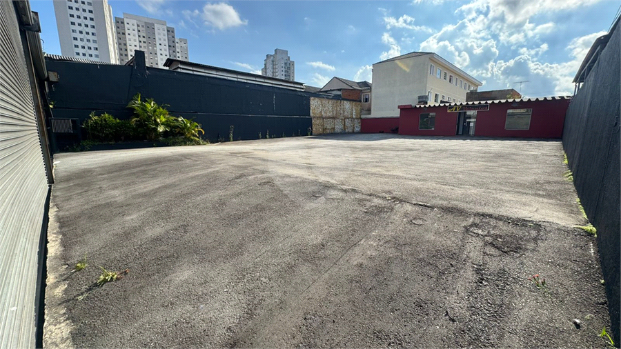 Foto REO1181648