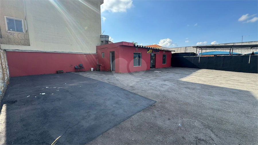 Foto REO1181648