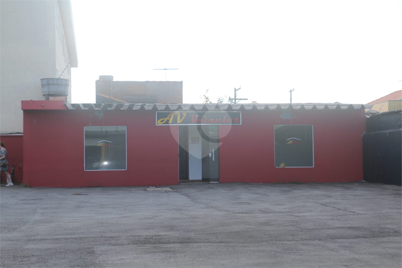 Foto REO1181648