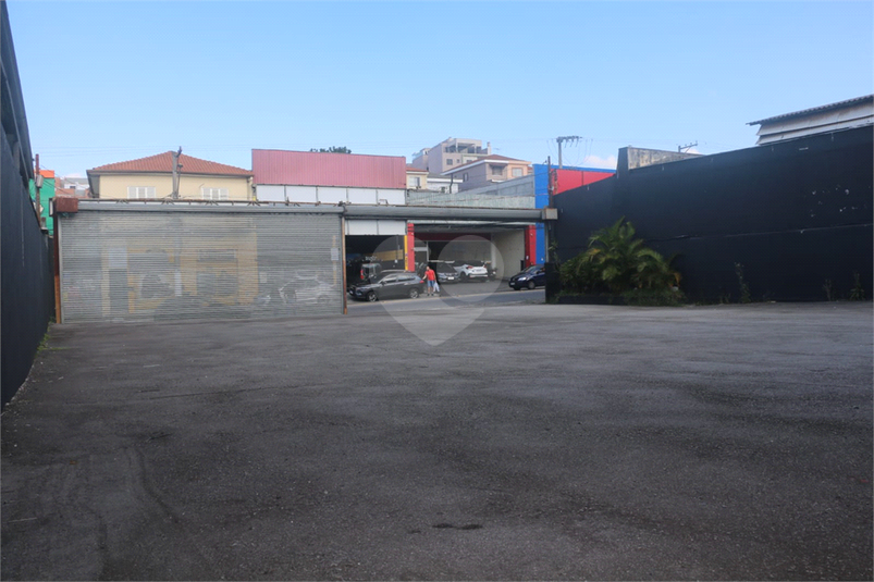 Foto REO1181648