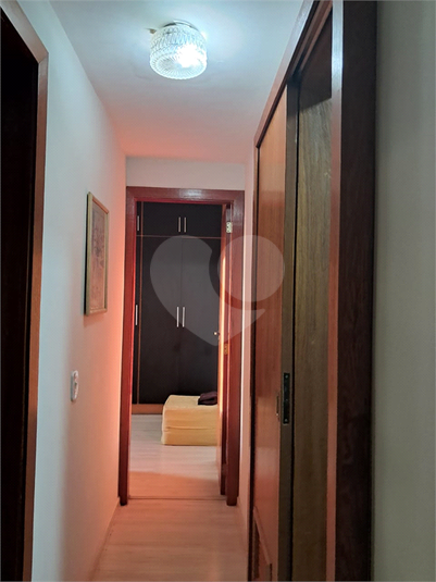 Foto REO1181696