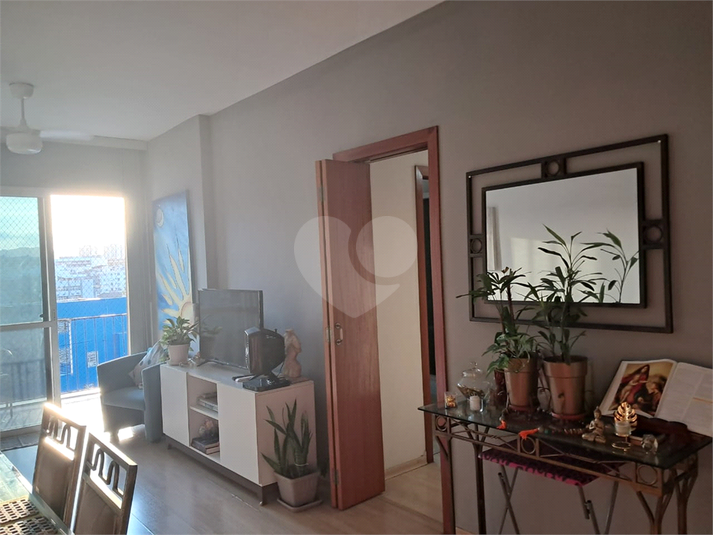 Foto REO1181696