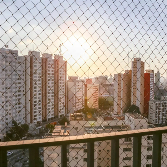 Foto REO1181701