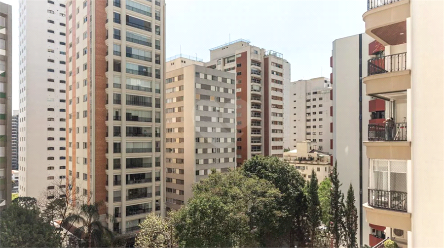 Foto REO1181708