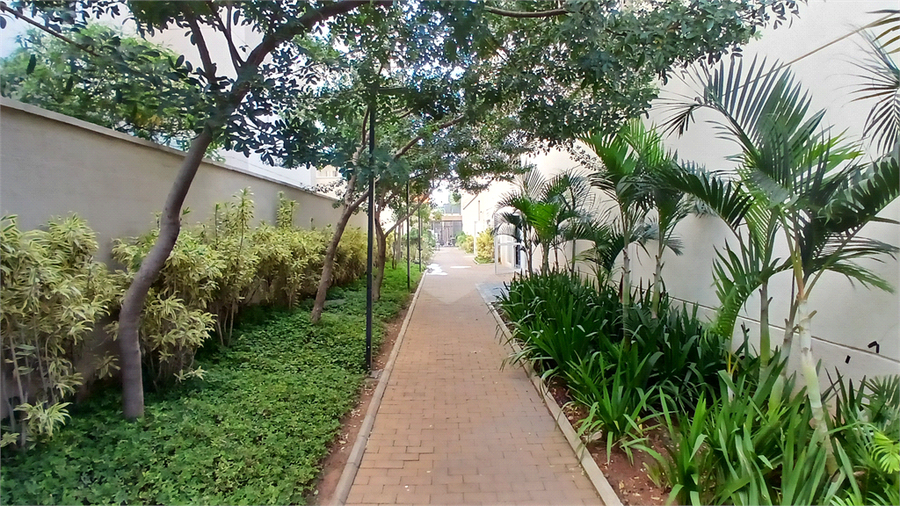 Foto REO1181720