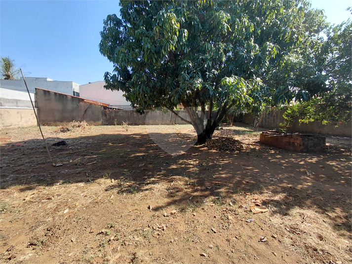 Foto REO1181752