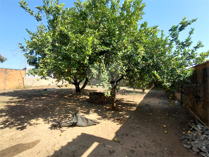 Foto REO1181752